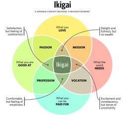 Finding Your Ikigai 